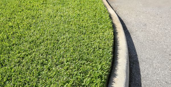 Cost of Street Curb Repair in Peyton